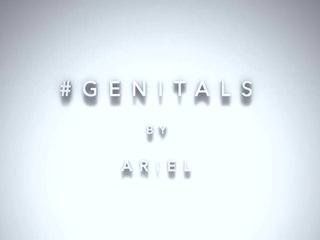 Yonitale tanulmány: genitals a ariel (lilit egy)