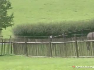 Ficken im die hay